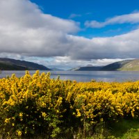 7 Consigli per organizzare un perfetto viaggio in Scozia