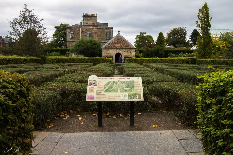 Edinburgh_Botanic_Garden_BeatriceRoat